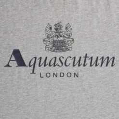 Aquascutum Large Logo T-Shirt - Grey Mel -Emporio Clothing Shop aquascutum large logo t shirt grey mel p60627 892693 image
