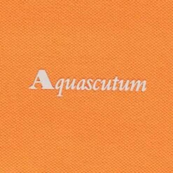 Aquascutum Logo Polo Shirt - Rust -Emporio Clothing Shop aquascutum logo polo shirt rust p61232 908371 image