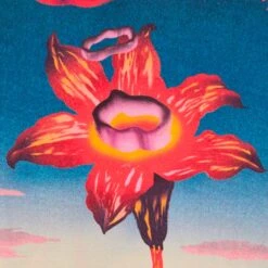 Edwin Hana No Shita Short Sleeve Shirt - Multi -Emporio Clothing Shop edwin hana no shita short sleeve shirt multi p58390 852867 image